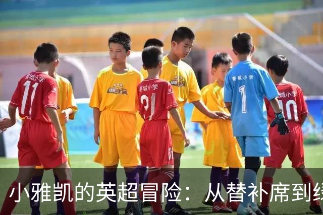 小雅凯的英超冒险：从替补席到绿茵场的明星！