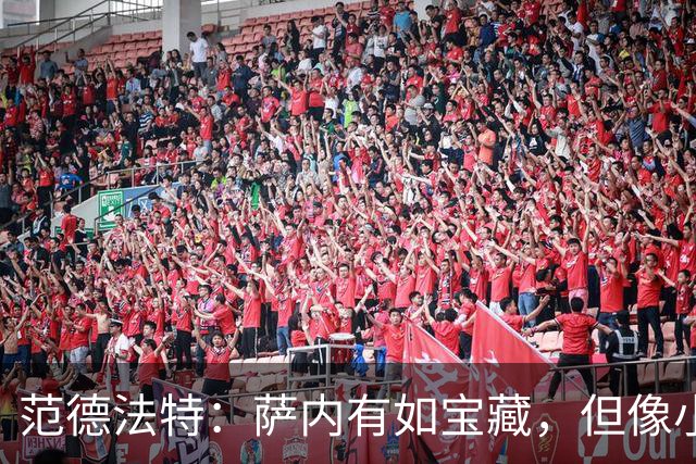 范德法特：萨内有如宝藏，但像小猫一样踢球！